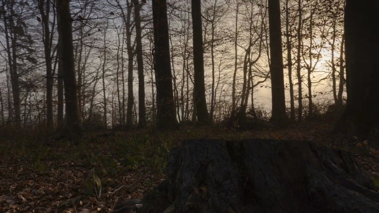 MHR42 - Lurking in the Fog